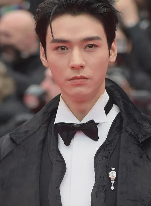 戛纳红毯中国明星出尽洋相，摆造型无人问津，轮番被安保驱赶（组图） - 21