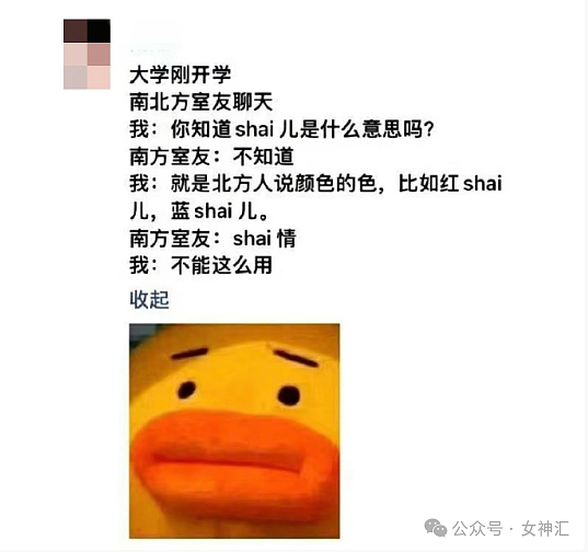 【爆笑】四年感情,因为8.8w彩礼分手了?到底是谁的问题?(组图) - 56