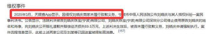 刘晓庆最新回应！遭实名举报偷税漏税，具体细节曝光，税务部门介入（组图） - 15