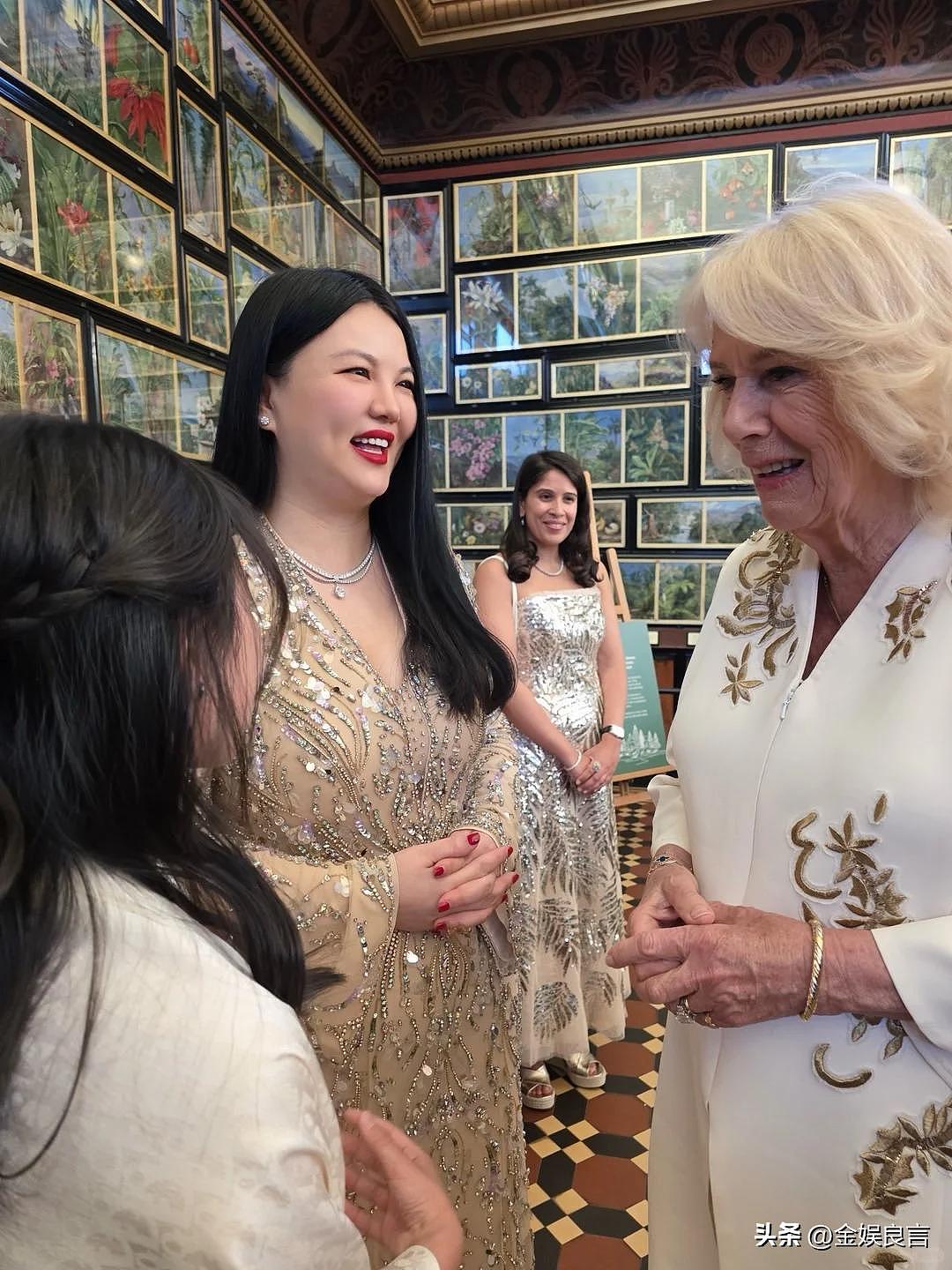 李湘带女儿面见英国皇室,连发动态被群嘲(组图) - 7