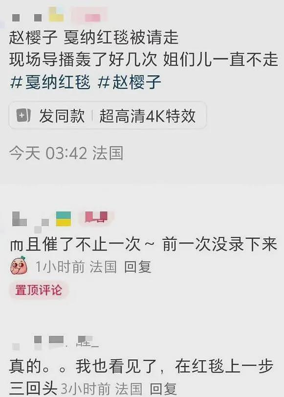戛纳红毯中国明星出尽洋相，摆造型无人问津，轮番被安保驱赶（组图） - 19