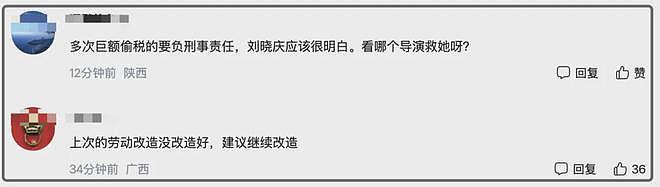 刘晓庆被举报偷税!预估金额近70万,2天前刚戴大翡翠上戛纳红毯(组图) - 7