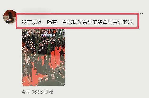 刘晓庆被举报偷税风波升级！被质疑戴危料翡翠走戛纳红毯，她真缺钱了？（组图） - 7