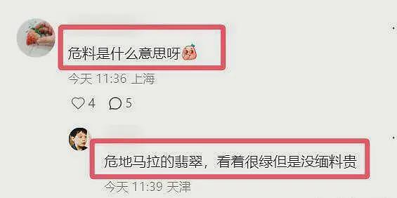 刘晓庆被举报偷税风波升级！被质疑戴危料翡翠走戛纳红毯，她真缺钱了？（组图） - 9