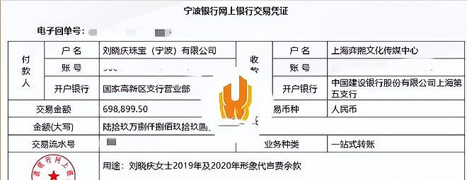 刘晓庆最新回应！遭实名举报偷税漏税，具体细节曝光，税务部门介入（组图） - 9