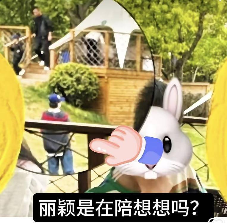 赵丽颖新恋情曝光！与赵德胤更多约会照被扒...（组图） - 9