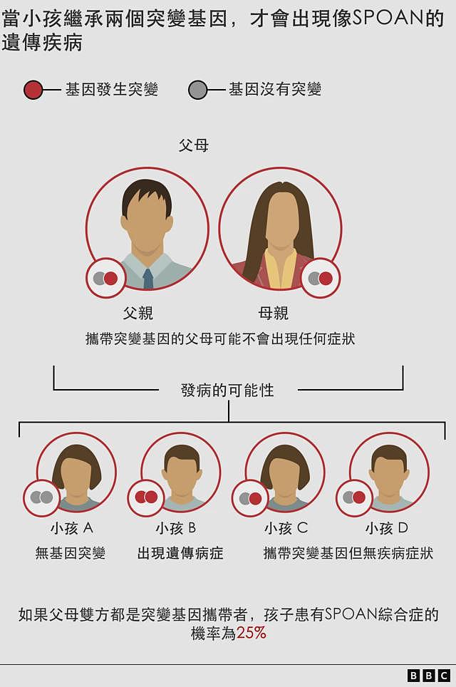 巴西偏远小镇罕见病症的断症之路——“几乎人人都是亲戚”（组图） - 5