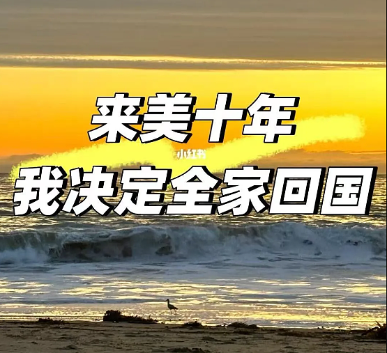 移民10年，华裔夫妻放弃高薪曝携女回国真相！网友吵翻了（组图） - 2