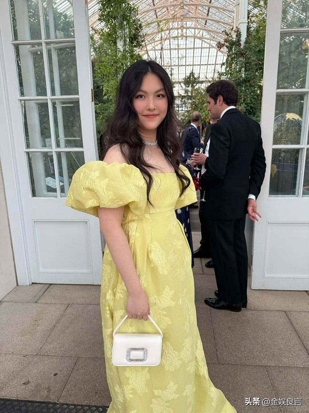 李湘带女儿面见英国皇室,连发动态被群嘲(组图) - 3