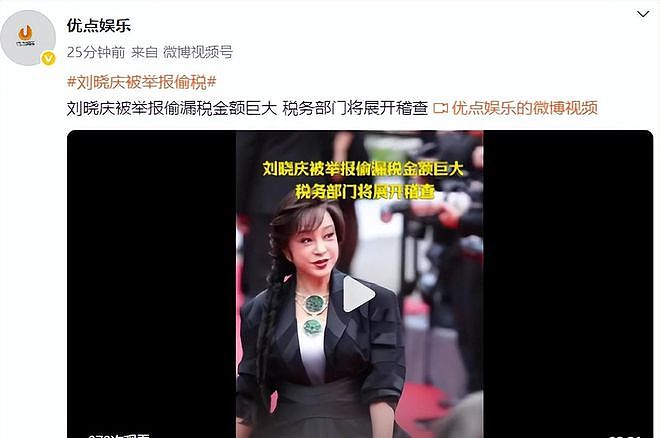 刘晓庆最新回应！遭实名举报偷税漏税，具体细节曝光，税务部门介入（组图） - 3