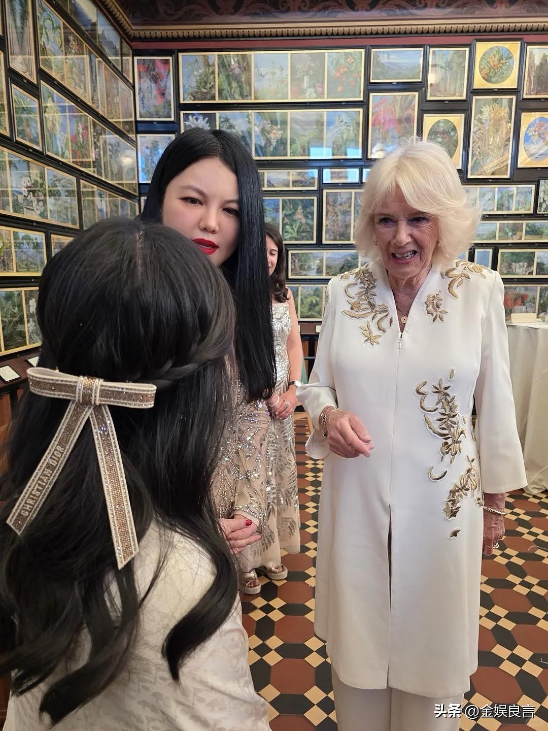 李湘带女儿面见英国皇室,连发动态被群嘲(组图) - 8