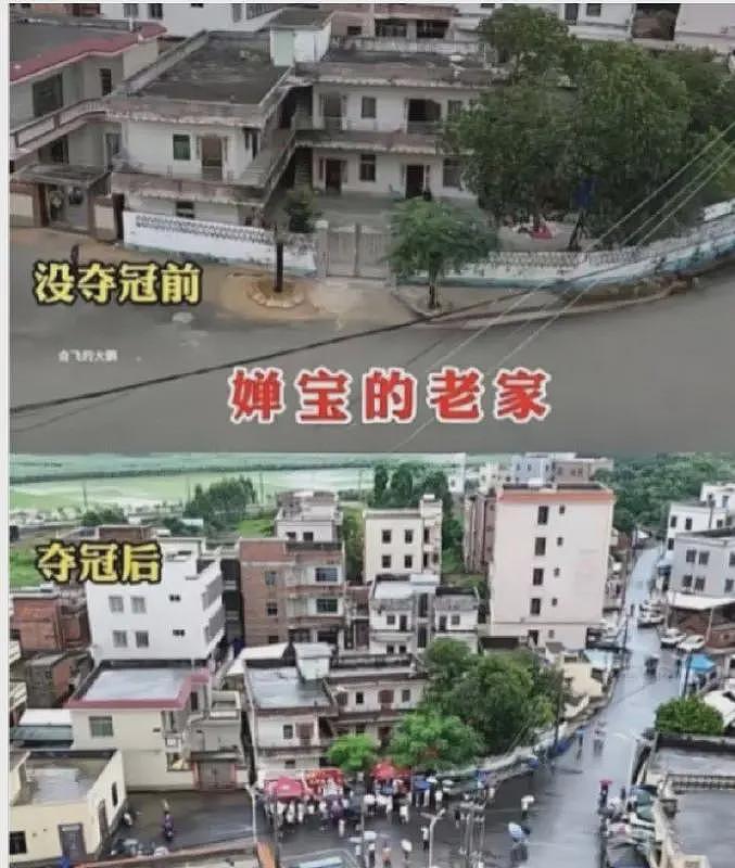 国际泳联发话了！全红婵迎来好消息，这一次，不喜欢她的该沉默了（组图） - 16