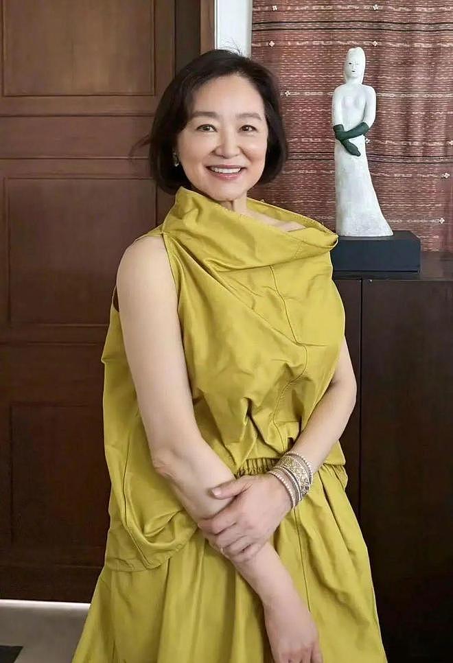 倪萍近照认不出！下巴又长又尖，曾否认整容（组图） - 14