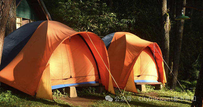 维州学生的这项福利，提高到400刀了（组图） - 2