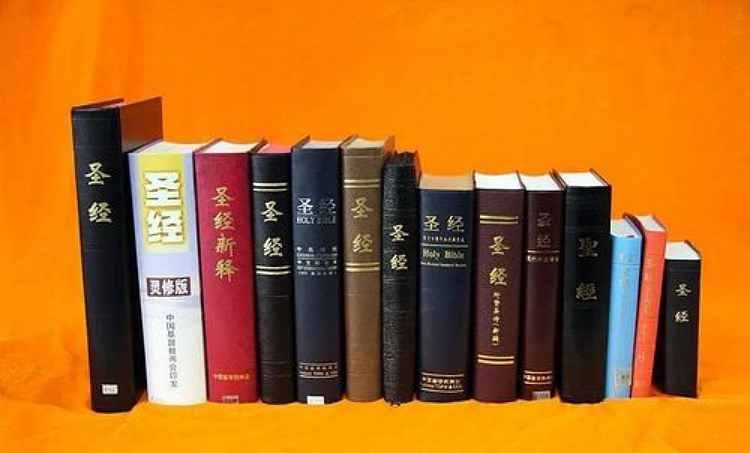 中国《圣经》卡了美国脖子（组图） - 10