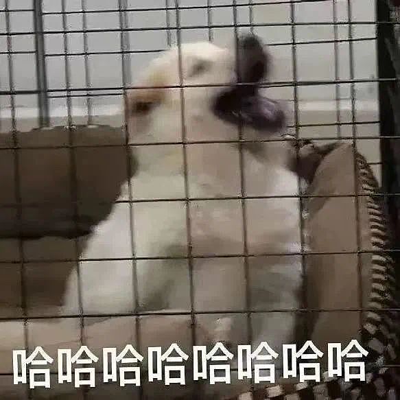 【爆笑】“和拖延症闺蜜约会是种什么体验…网友:有卧龙的地方必有凤雏(组图) - 2