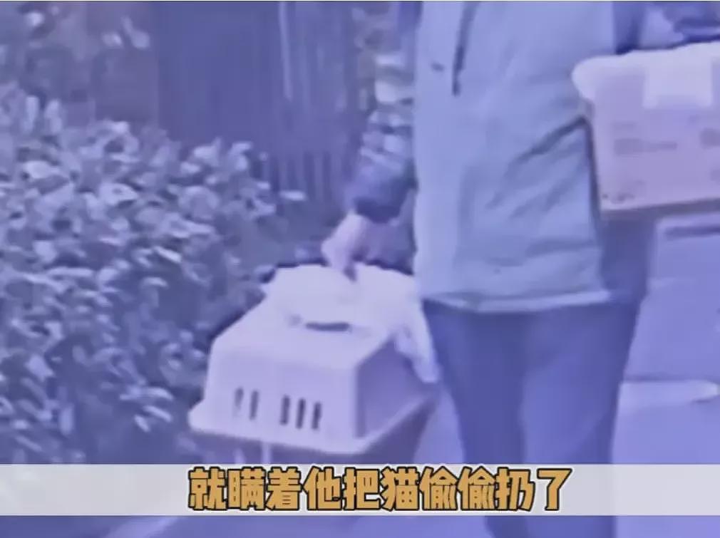 上海特殊婚礼巨大争议！为何这届年轻人这么另类（组图） - 14