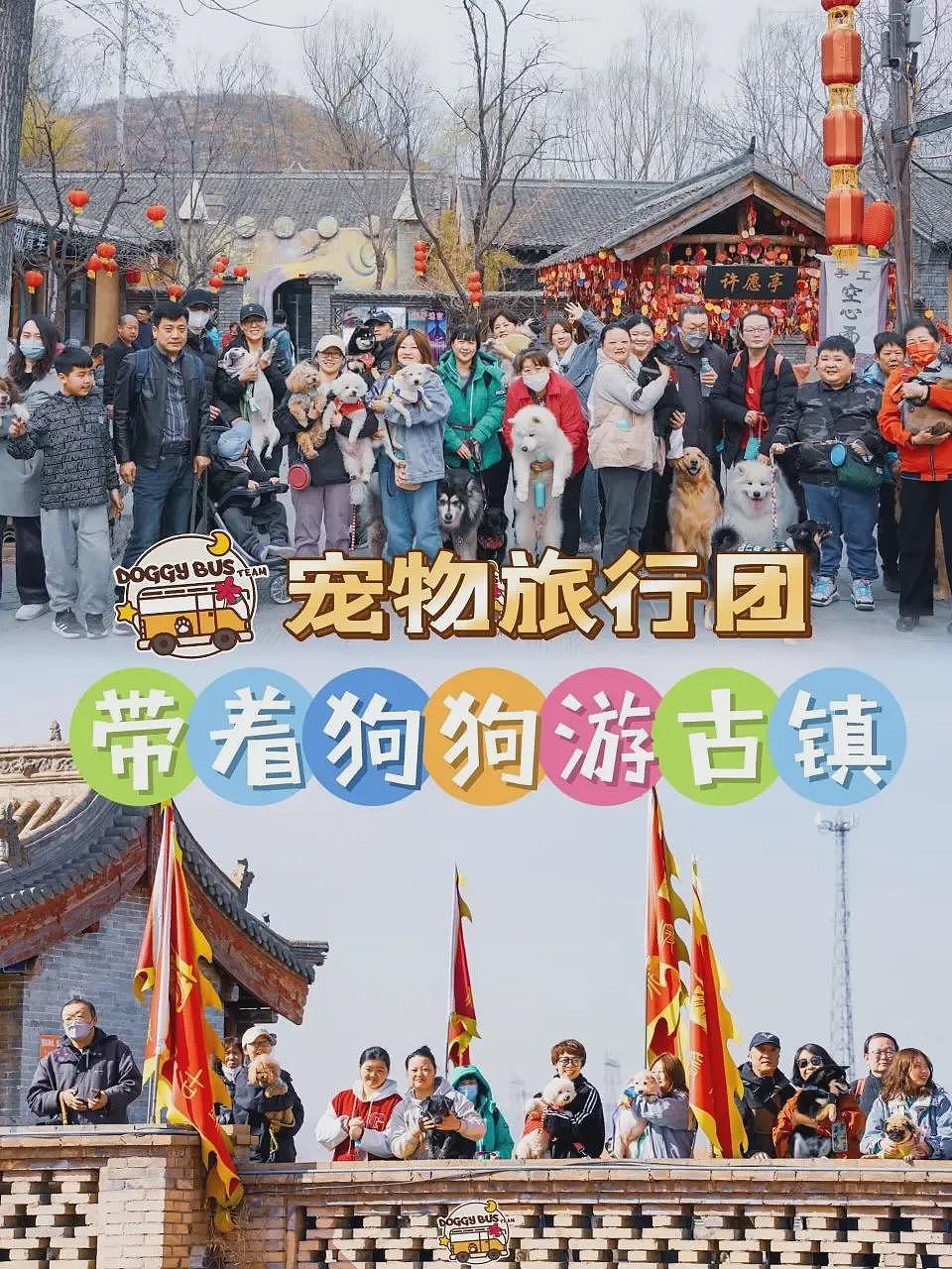 上海特殊婚礼巨大争议！为何这届年轻人这么另类（组图） - 10