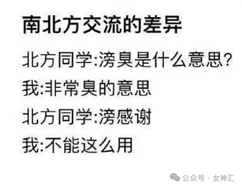 【爆笑】四年感情，因为8.8w彩礼分手了？到底是谁的问题（组图） - 55