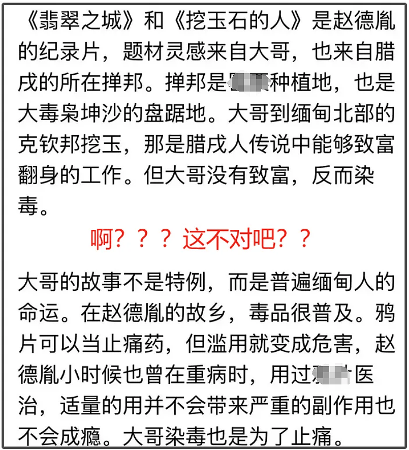 赵德胤前女友太惨！陪男方回缅甸看家人，一起吃一起睡都不被承认（组图） - 7