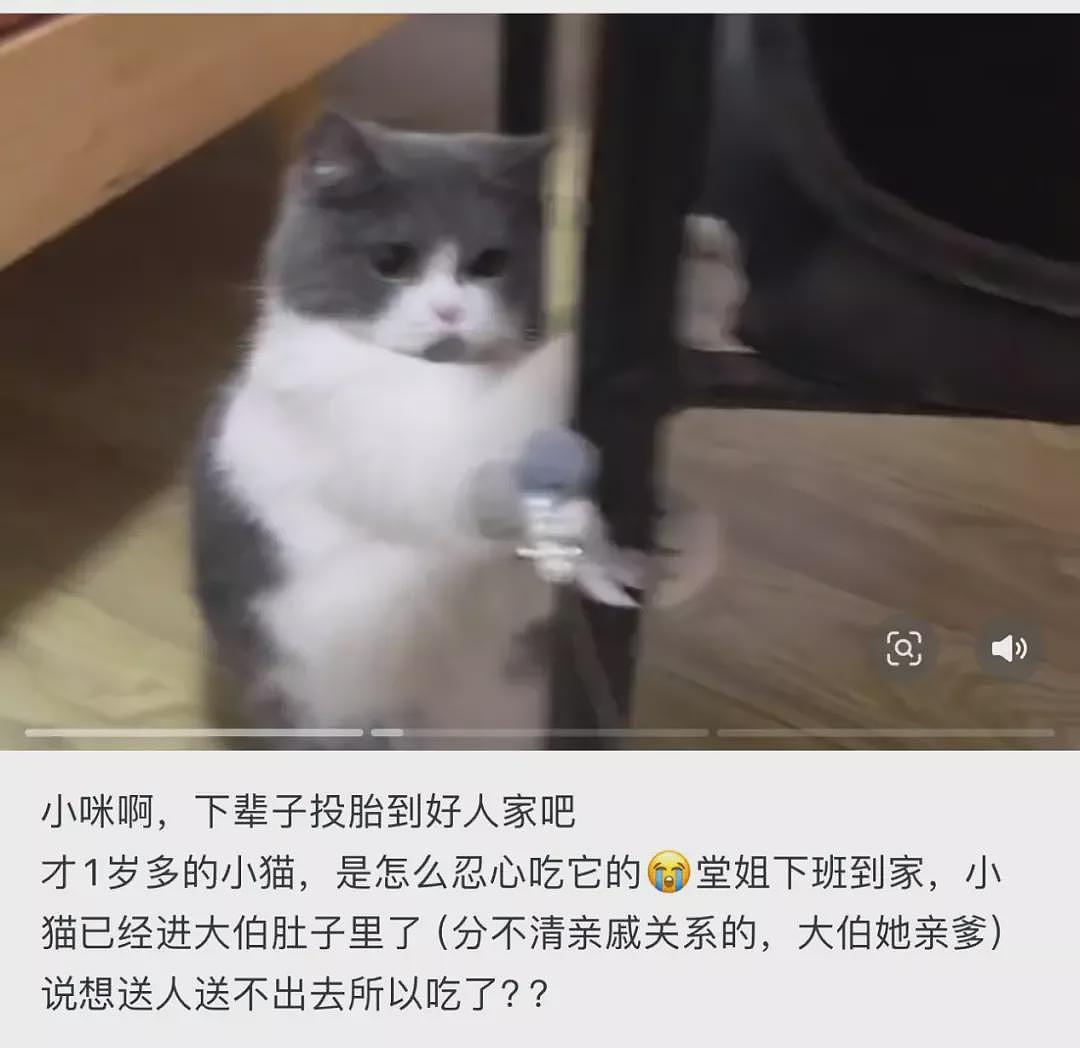 上海特殊婚礼巨大争议！为何这届年轻人这么另类（组图） - 13