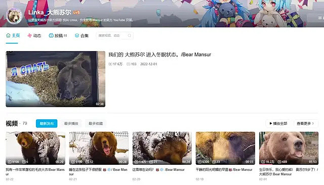 俄罗斯宣布：禁止在家养熊！网友：原来“战斗民族养熊”是真的？（组图） - 31