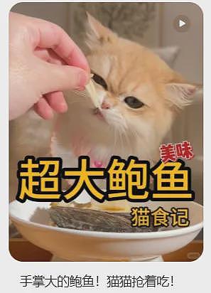 新西兰这一行业傍上中国起飞！中资公司纷纷来分蛋糕！也有老板卖豪宅还债...（组图） - 1