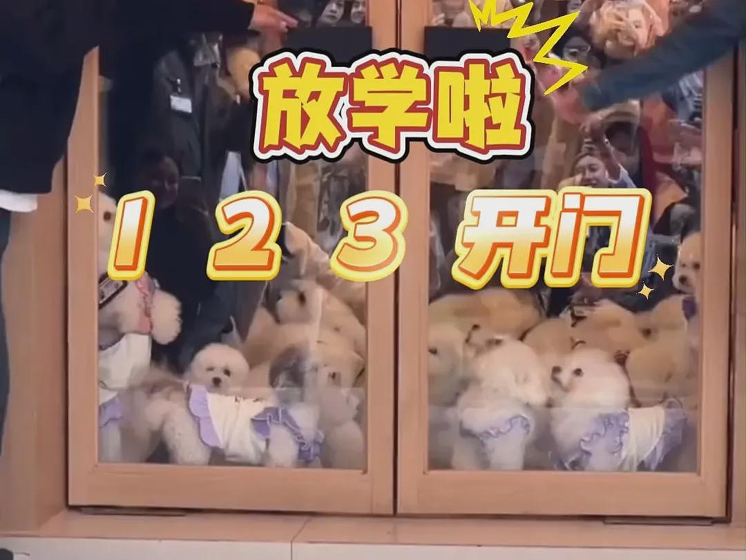 上海特殊婚礼巨大争议！为何这届年轻人这么另类（组图） - 11