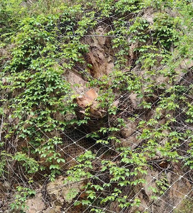 一家四口自驾，车辆被山体落石砸中，36岁父亲当场遇难，当地政府已成立工作专班（组图） - 3