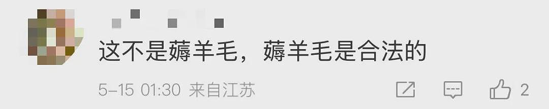 女子来沪旅游1个月竟靠“薅羊毛”白住10多家酒店... 上海警方出手（组图） - 26