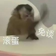 女子来沪旅游1个月竟靠“薅羊毛”白住10多家酒店... 上海警方出手（组图） - 7