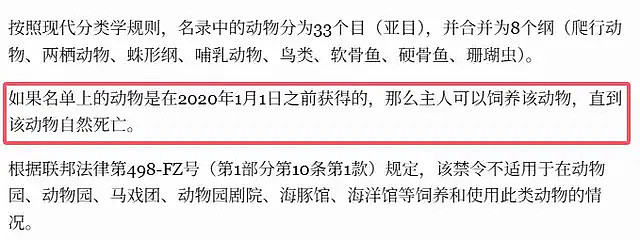 俄罗斯宣布：禁止在家养熊！网友：原来“战斗民族养熊”是真的？（组图） - 32