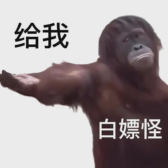 女子来沪旅游1个月竟靠“薅羊毛”白住10多家酒店... 上海警方出手（组图） - 11