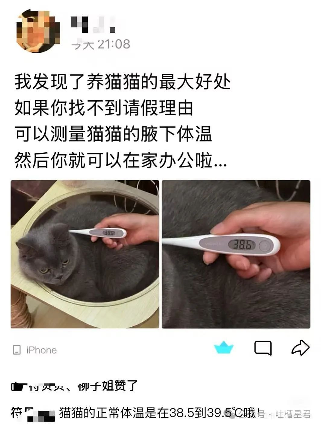【爆笑】“和拖延症闺蜜约会是种什么体验…网友:有卧龙的地方必有凤雏(组图) - 31