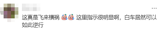 突发惨烈车祸!悉尼华人区白车逆行猛撞多车,街头一片狼藉(组图) - 11