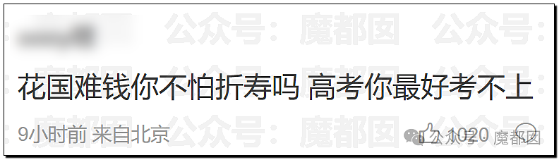 巨瓜！绝美小花黄杨钿甜佩戴价值百万耳环，公务员父亲被质疑涉贪，多方回应（视频/组图） - 20