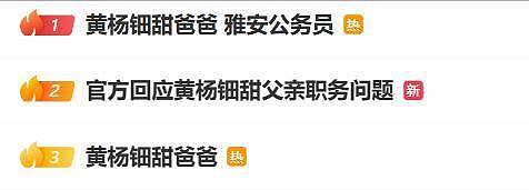 230万耳环45万手镯过亿豪宅,网吁彻查18岁女星(组图) - 6