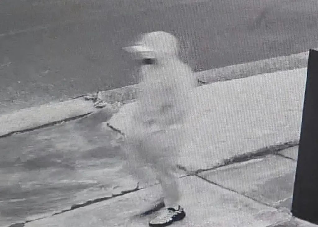 澳华人区民宅遭持枪抢劫,蒙面歹徒抢走大量现金!警方公布监控画面,呼吁知情者提供线索(组图) - 3
