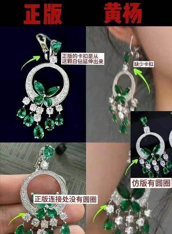 230万耳环45万手镯过亿豪宅,网吁彻查18岁女星(组图) - 15