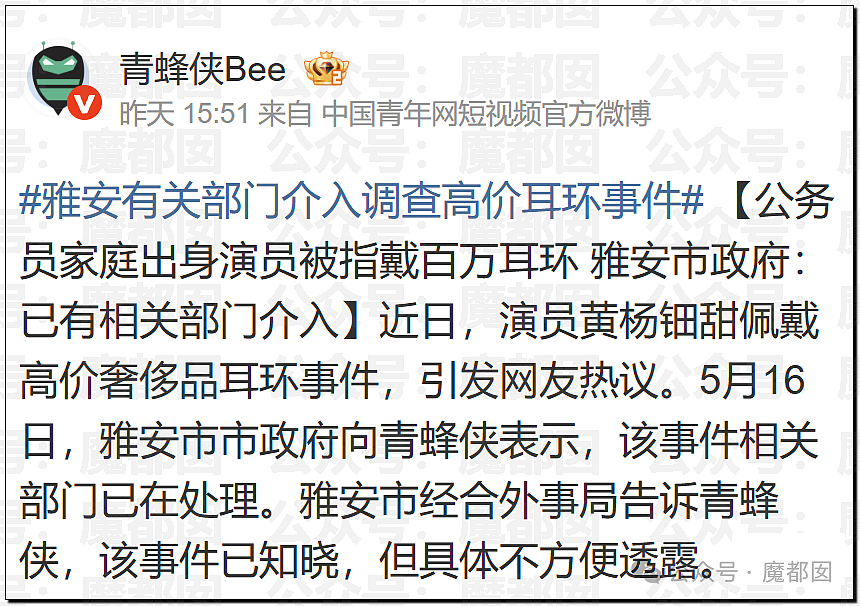 巨瓜！绝美小花黄杨钿甜佩戴价值百万耳环，公务员父亲被质疑涉贪，多方回应（视频/组图） - 62