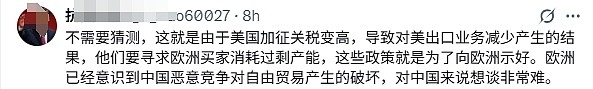 欧盟:暂不重启中欧投资协定、维持对华制裁(组图) - 4