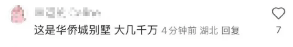 黄杨钿甜事件，有网友扒出了她家里的10个好东西（组图） - 12
