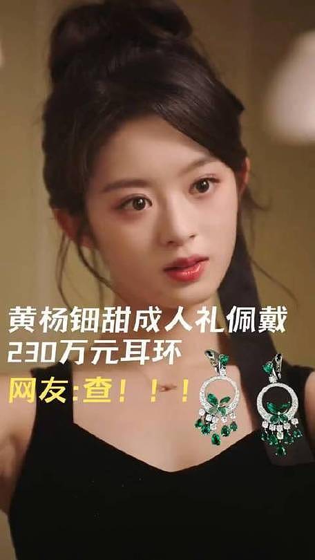 230万耳环45万手镯过亿豪宅,网吁彻查18岁女星(组图) - 22