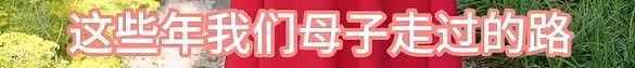 汪小菲大婚之日，S妈说前女婿要结婚了，可怜的孩子没了妈妈（组图） - 8