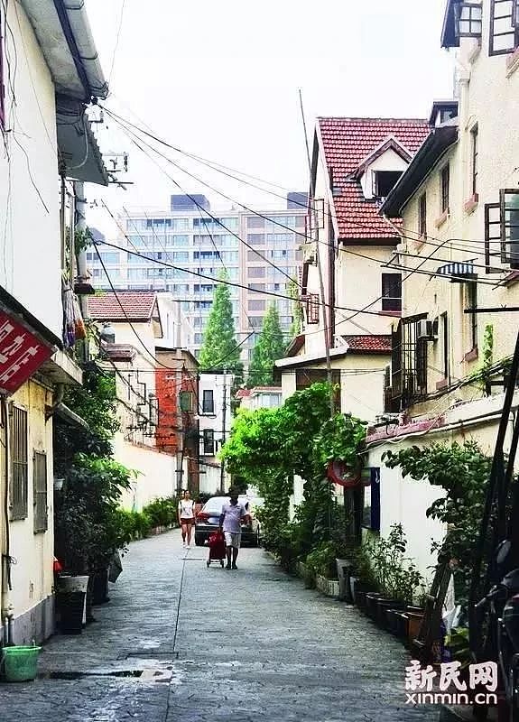 身中22刀,死状惨烈!加拿大漂亮女模特到上海出差,却被安徽农村小伙要了命(组图) - 17