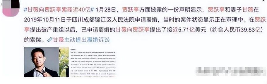 “夫妻本是同林鸟”，欠债20亿的贾跃亭，甘薇也不打算“救”他了（组图） - 11