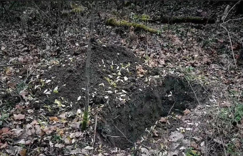 她教父亲在网上发布广告,却由此诞生了一个轰动全美的连环杀手(组图) - 10