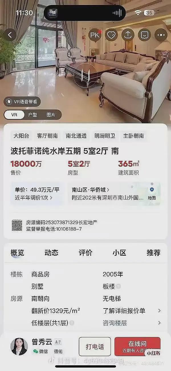 230万买一对耳环,1.8亿买个别墅,短短8年,网友惊叹:商业奇才(组图) - 3