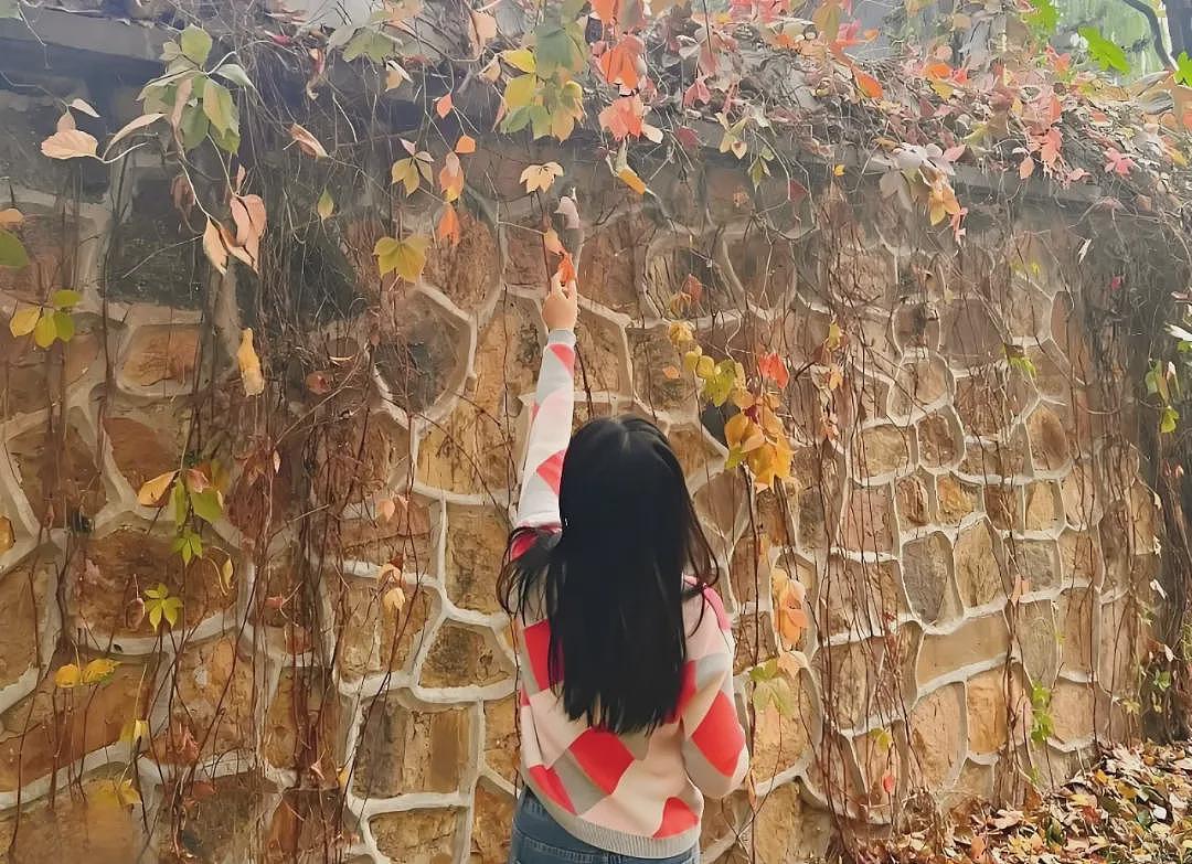 985本硕,三年被裁三次,我还要更努力吗?(组图) - 10