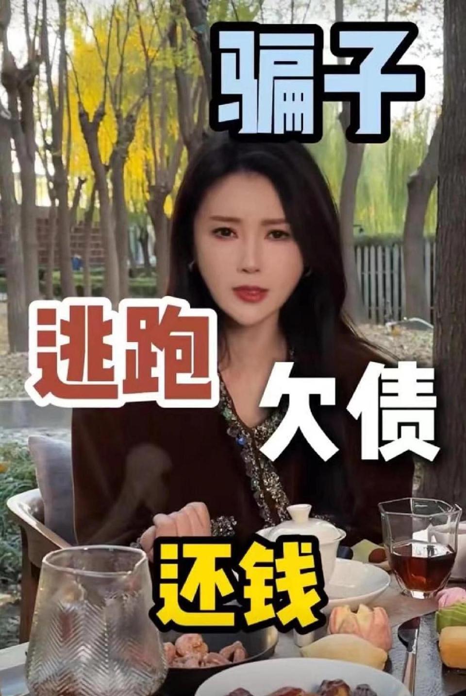 “夫妻本是同林鸟”，欠债20亿的贾跃亭，甘薇也不打算“救”他了（组图） - 16